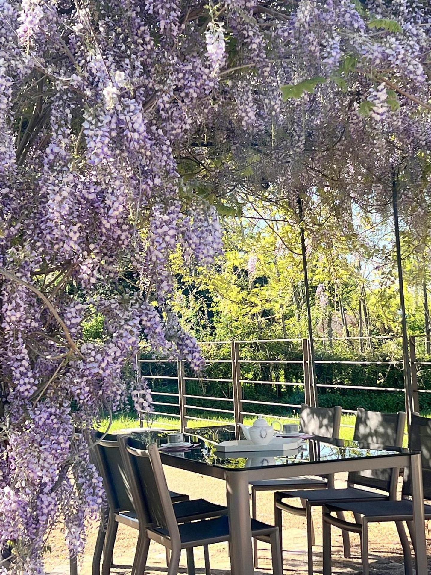 Chateau De Balleure Etrigny Ngoại thất bức ảnh