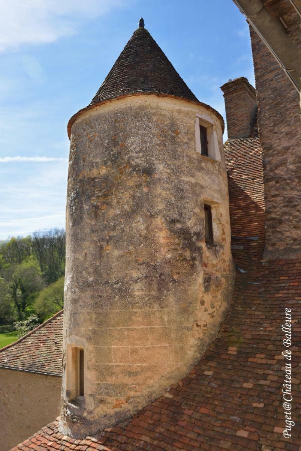 Chateau De Balleure Etrigny Ngoại thất bức ảnh